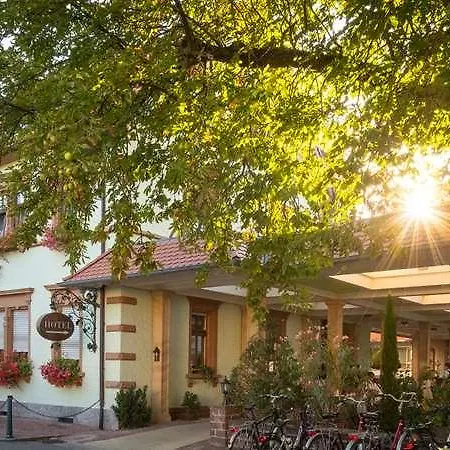 Ringhotel Winzerhof Rauenberg