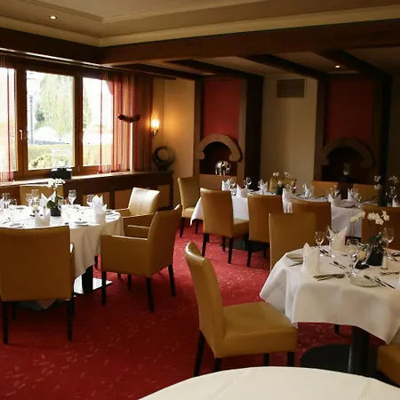 Ringhotel Winzerhof Hotel Rauenberg (Baden-Wurttemberg)