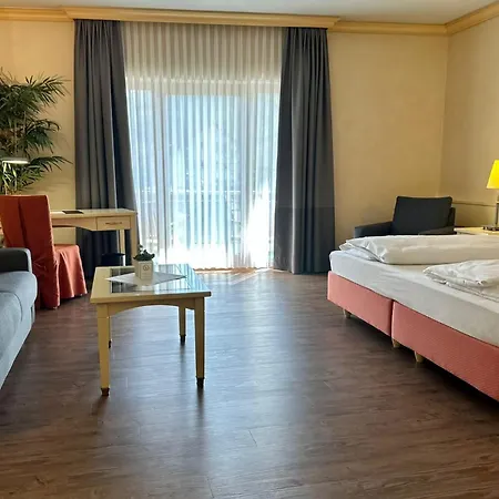 Ringhotel Winzerhof Hotel Rauenberg (Baden-Wurttemberg)