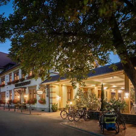فندق Ringhotel Winzerhof Rauenberg (Baden-Wurttemberg)