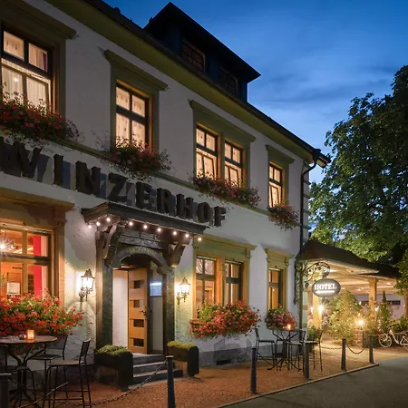 Ringhotel Winzerhof 4*