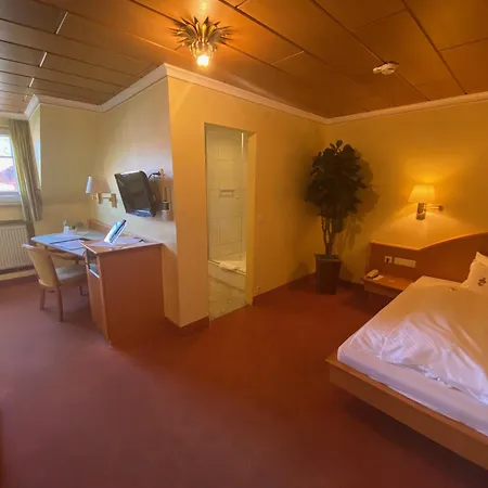 Hotell Ringhotel Winzerhof Rauenberg (Baden-Wurttemberg)