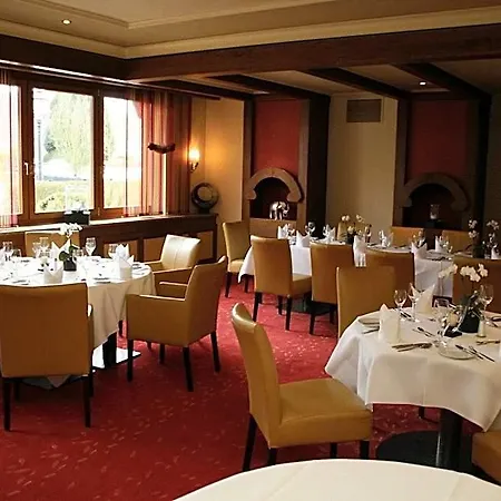 Отель Ringhotel Winzerhof Rauenberg (Baden-Wurttemberg)