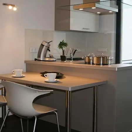 فندق رينجهوتل وينزرهوف 4*