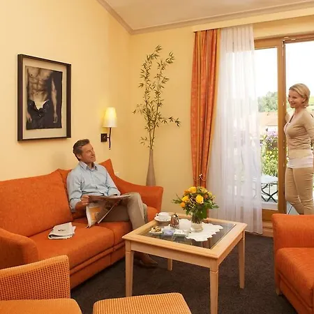 Hotel Ringhotel Winzerhof Rauenberg (Baden-Wurttemberg)