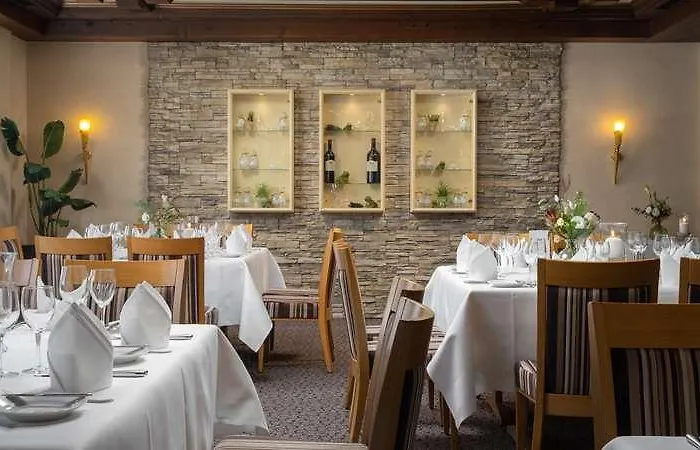 Ringhotel Winzerhof Hotel Rauenberg (Baden-Wurttemberg)