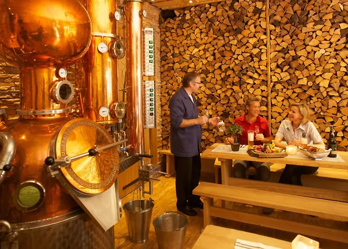 Hotel Ringhotel Winzerhof 4*