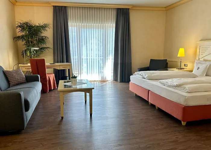 Ringhotel Winzerhof Hotel Rauenberg (Baden-Wurttemberg)