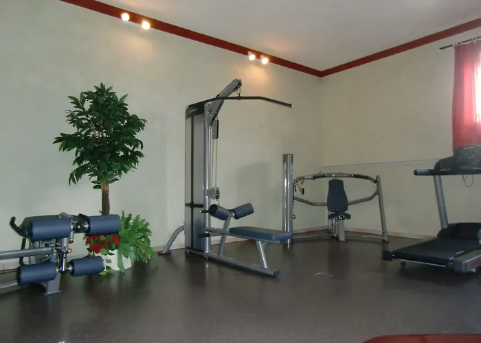 Ringhotel Winzerhof Hotel Rauenberg (Baden-Wurttemberg)