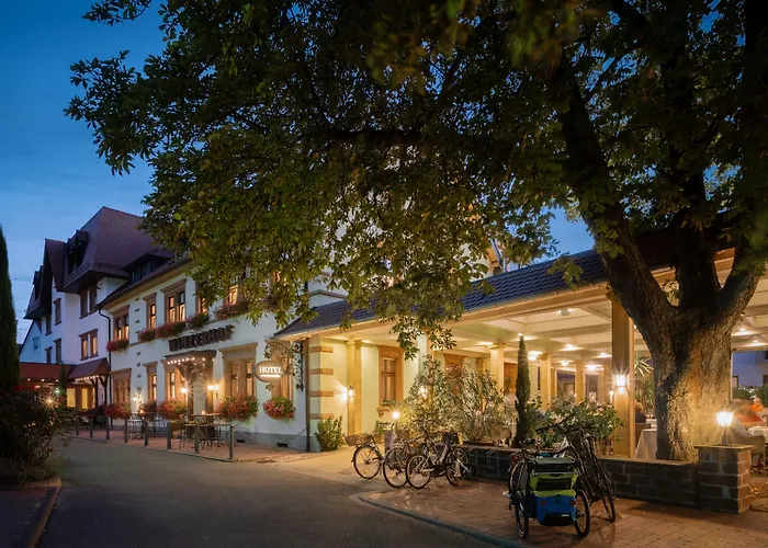 Hotel Ringhotel Winzerhof Rauenberg (Baden-Wurttemberg)