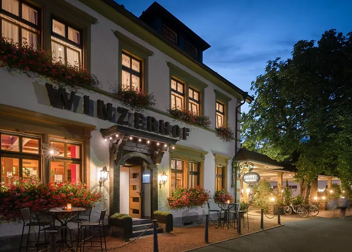 Ringhotel Winzerhof 4*