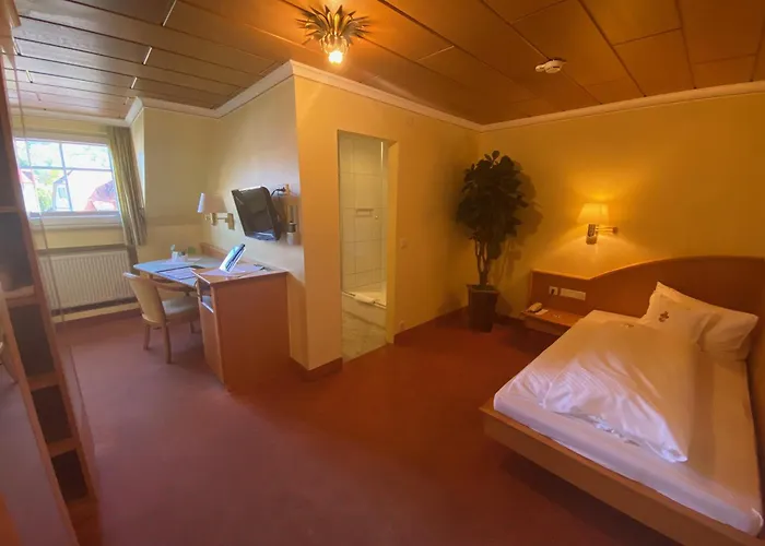 Hotel Ringhotel Winzerhof Rauenberg (Baden-Wurttemberg)